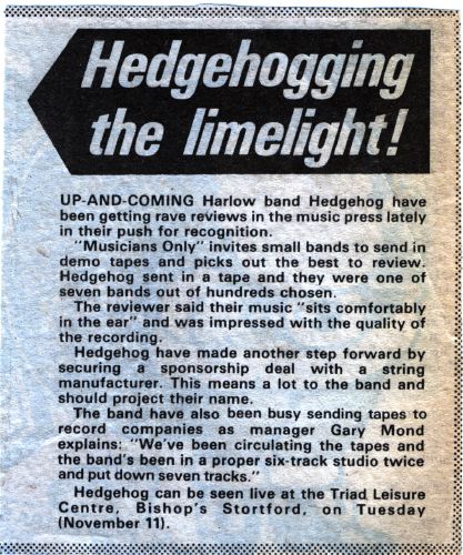 Hedgehog