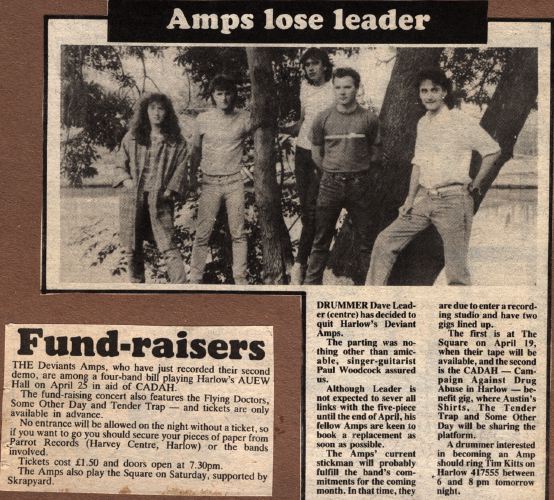 Amps Loose Leader