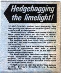 Hedgehog