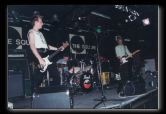 ANTIBODIES 1995-96